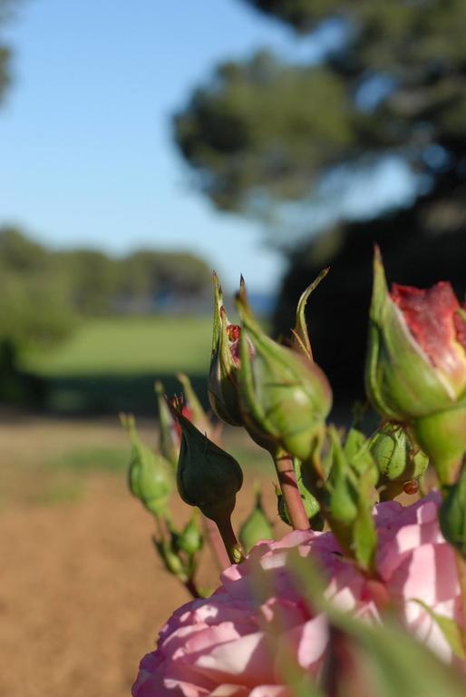 La Bellonette Marseillan  Buitenkant foto